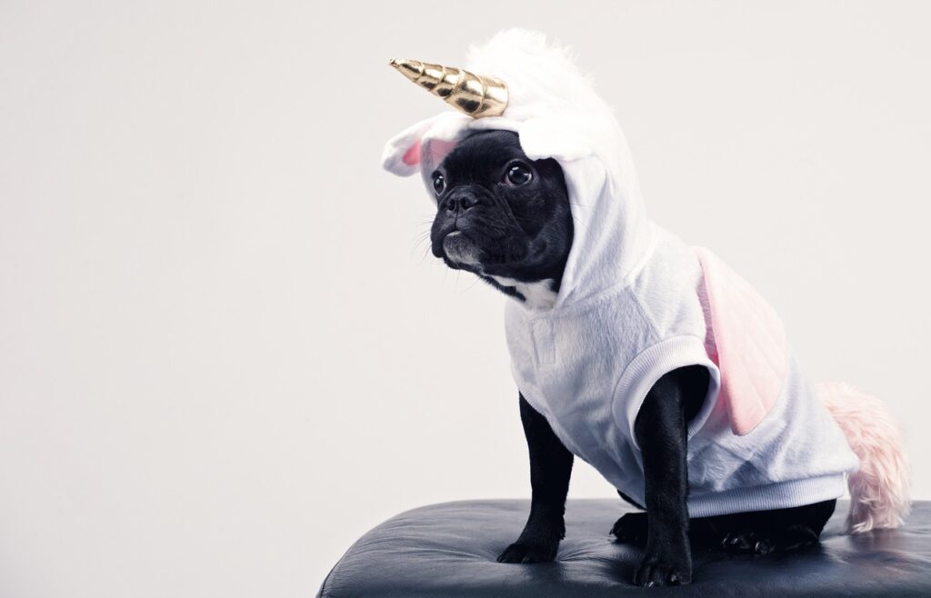 Unicorn Spotted at Saturday’s “Magical Moments” Event – Social Club Members Still in Shock